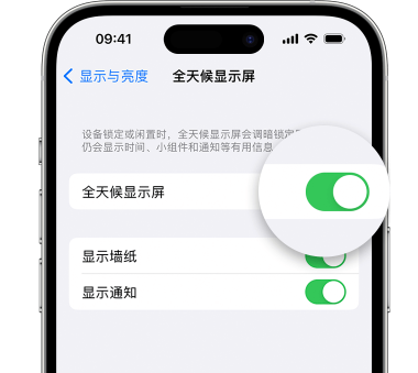 荆州苹果15预约维修分享iPhone15如何设置全天候显示屏幕可见 