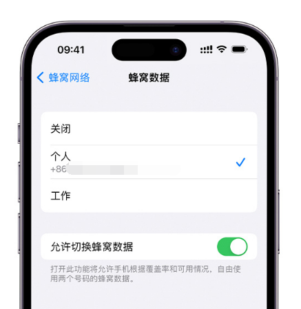 荆州苹果维修服务分享如何在iPhone上使用双卡 